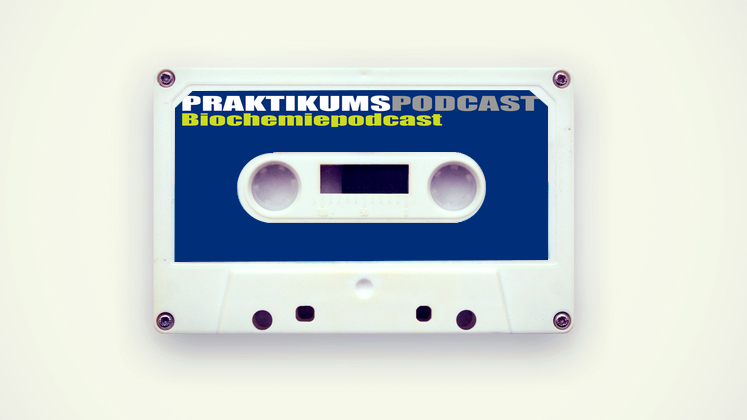 Large praktikumspodcast