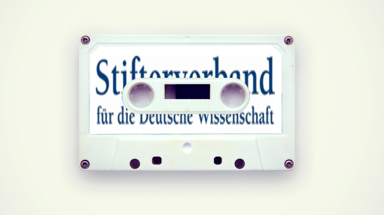 Large stifterverband logo